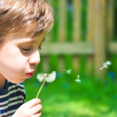 20 Jahre Kidsnest Kinderschutzzentrum Gmünd